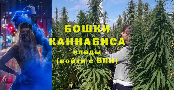 прущие крисы Беломорск