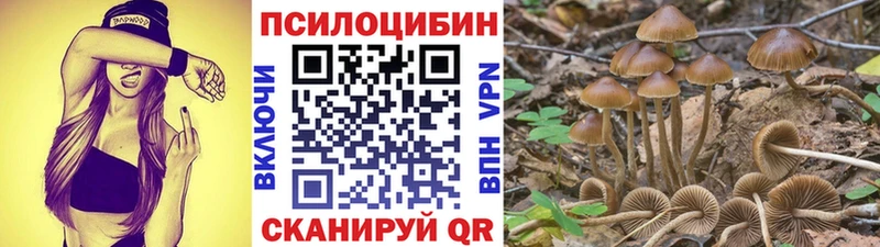 Галлюциногенные грибы GOLDEN TEACHER  Краснокамск 